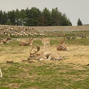 Meet your Posher, Neda